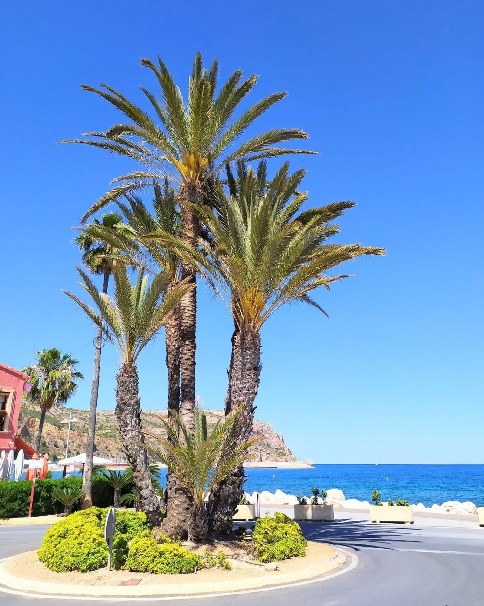 Javea Arenal Beach Ngoại thất bức ảnh